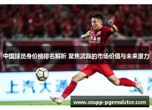 中国球员身价榜排名解析 聚焦武磊的市场价值与未来潜力