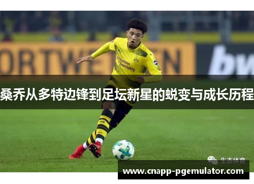 桑乔从多特边锋到足坛新星的蜕变与成长历程