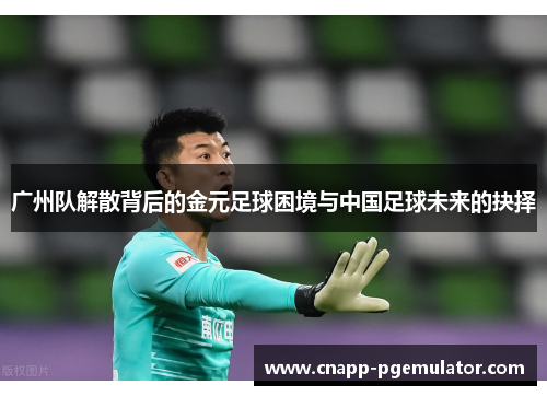 广州队解散背后的金元足球困境与中国足球未来的抉择