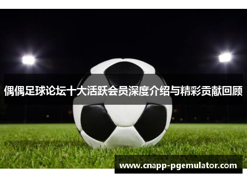偶偶足球论坛十大活跃会员深度介绍与精彩贡献回顾