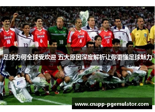 足球为何全球受欢迎 五大原因深度解析让你更懂足球魅力
