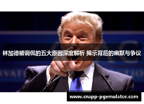 林加德被调侃的五大原因深度解析 揭示背后的幽默与争议