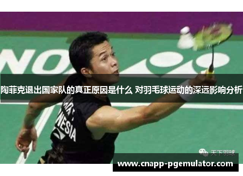 陶菲克退出国家队的真正原因是什么 对羽毛球运动的深远影响分析