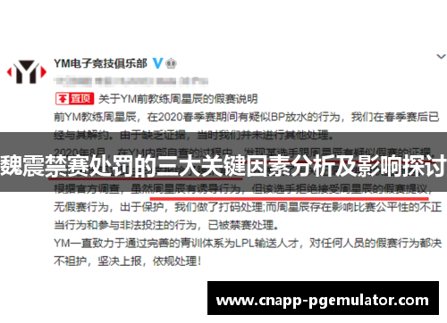 魏震禁赛处罚的三大关键因素分析及影响探讨