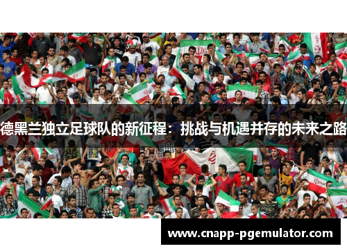 德黑兰独立足球队的新征程：挑战与机遇并存的未来之路