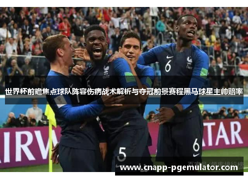 世界杯前瞻焦点球队阵容伤病战术解析与夺冠前景赛程黑马球星主帅赔率